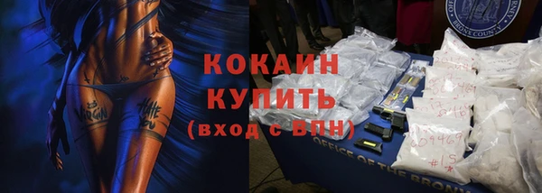 сатива Кинешма