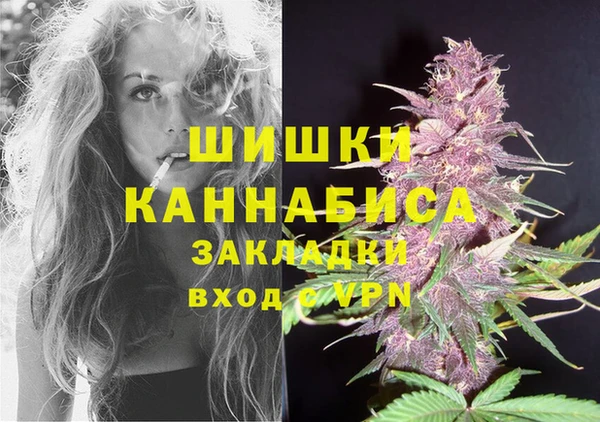 сатива Кинешма