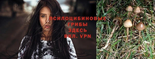 сатива Кинешма