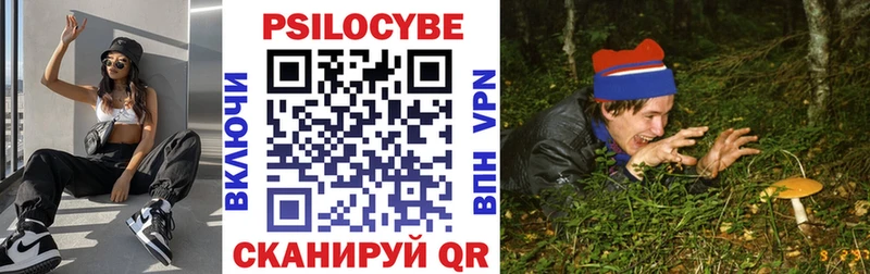 Купить  Родники  Галлюциногенные грибы прущие грибы 